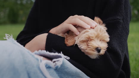 child sitting in the park with a puppy in her arms