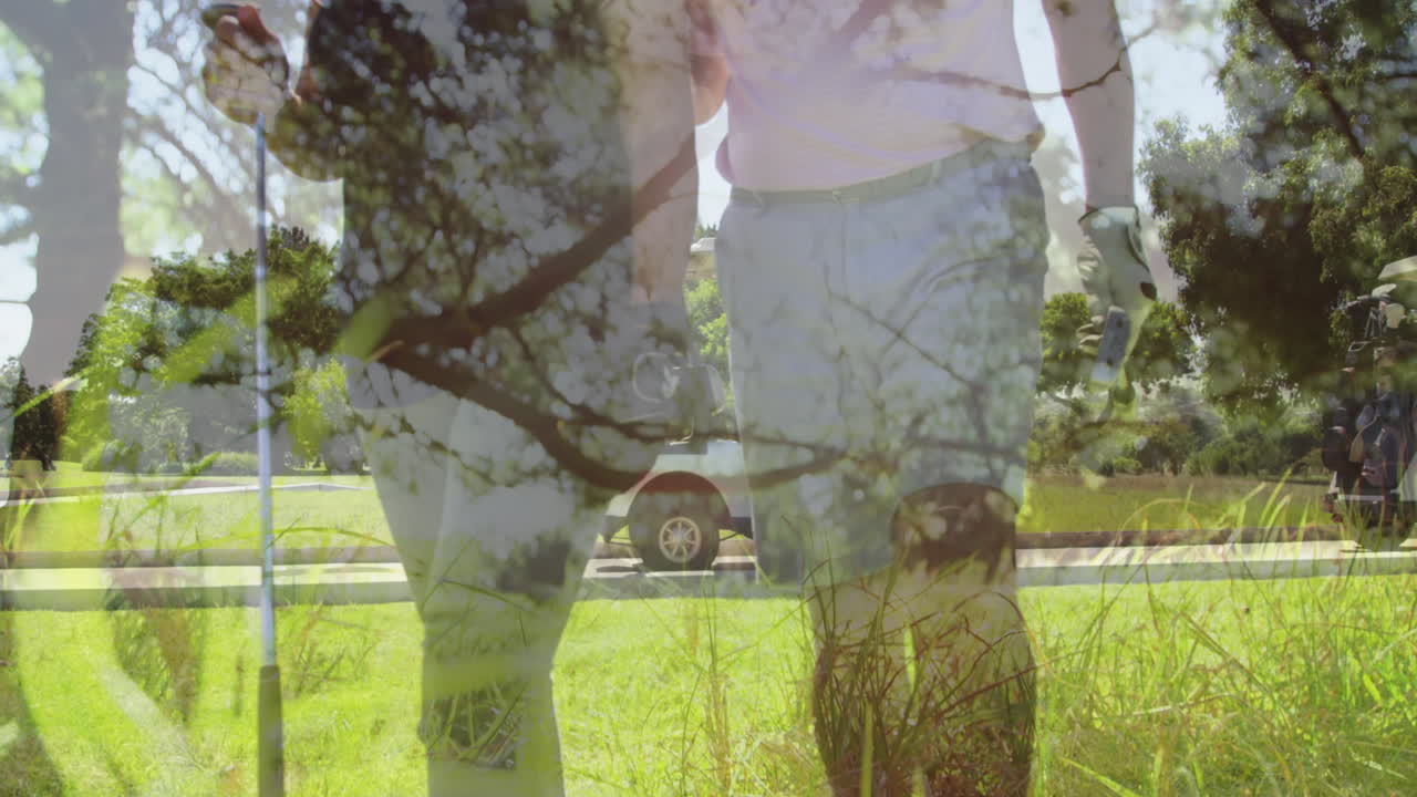 골프 코스에서 골프를 하는 고위 백인 커플 위에 있는 나무들의 애니메이션