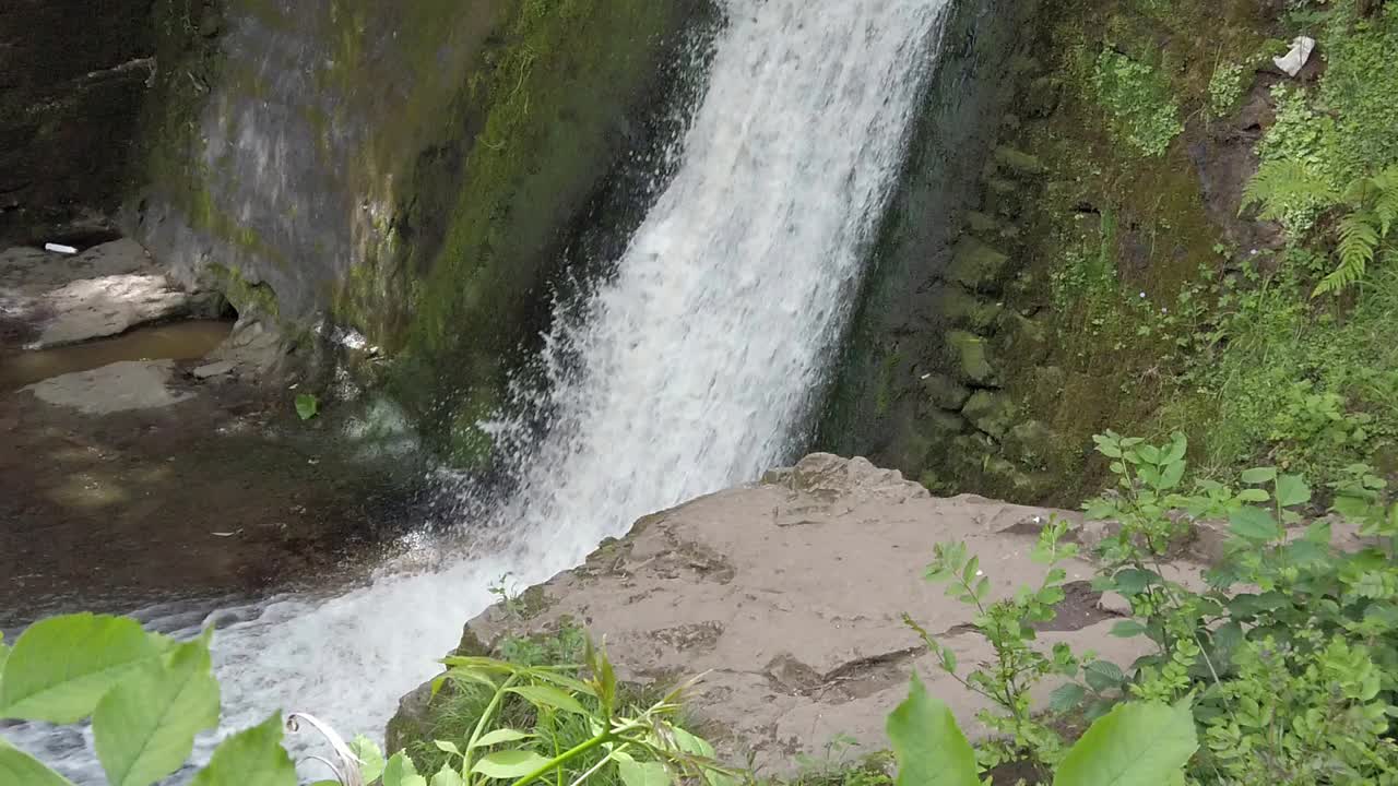 bosque pacífico cascada zen cámara lenta cascada de agua fresca que fluye mirando hacia abajo