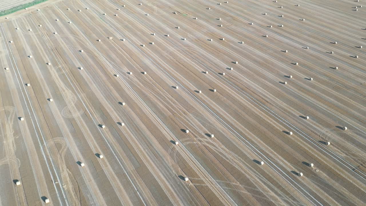 수확 후 노란색 둥근 둥근 큰 베일로 만든 농업 분야, 밀짚 롤