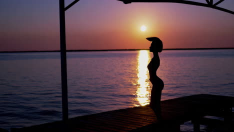 silhouette of a woman at sunset on a lakeside pier