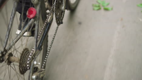 close-up back view of someone in black trousers and sneakers pedaling a bicycle on a smooth, tarred road, white lane markings can be seen along with scattered leaves on the ground