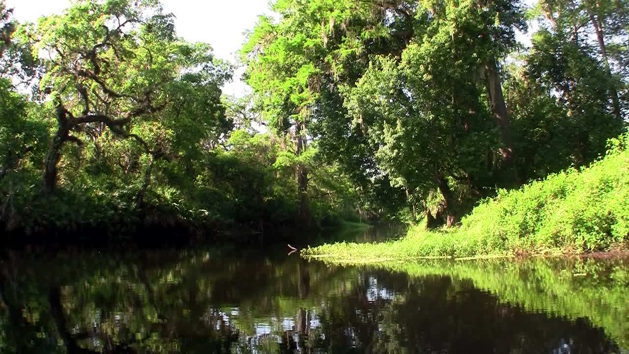 에버글레이즈의 늪을 여행하는 셀카 샷 1