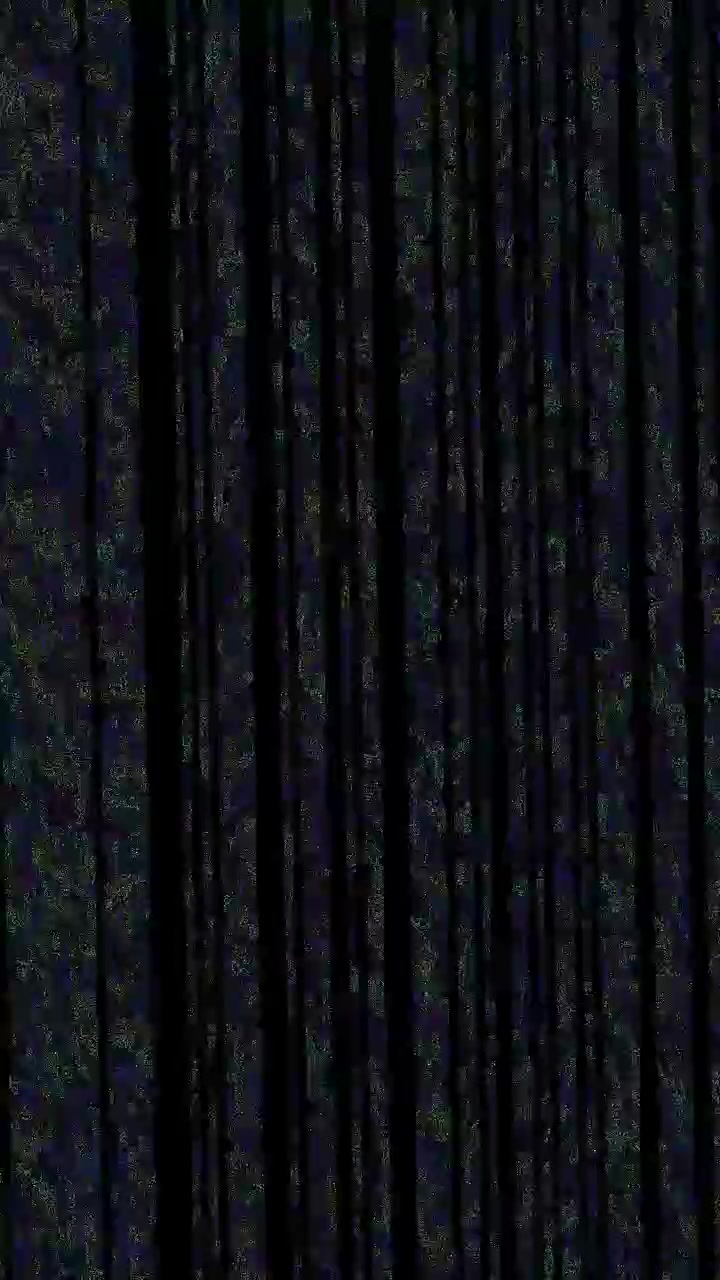 Abstract Digital Glitch Effect with Vertical Lines