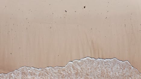 Schöne-Tropische-4K-Strandantenne---Ein-Blick-Aus-Der-Vogelperspektive-Auf-Meereswellen,-Die-Von-Oben-Gegen-Einen-Leeren-Strand-Prallen