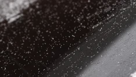 snowy day in new jersey suburbs