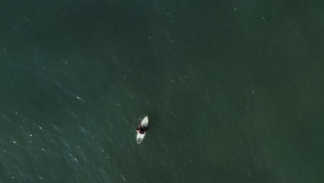 surfista sentado y relajado en la tabla de surf en el océano, vista aérea de arriba hacia abajo