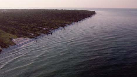 aerial of natural native landscape off the gulf of mexico in florida