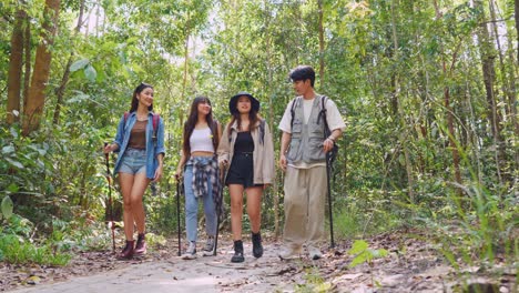 friends hiking in forest