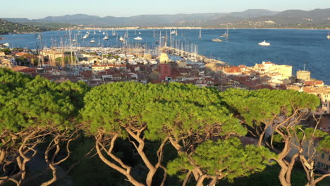 amazing aerial shot of saint-tropez back traveling over pine trees and citadel