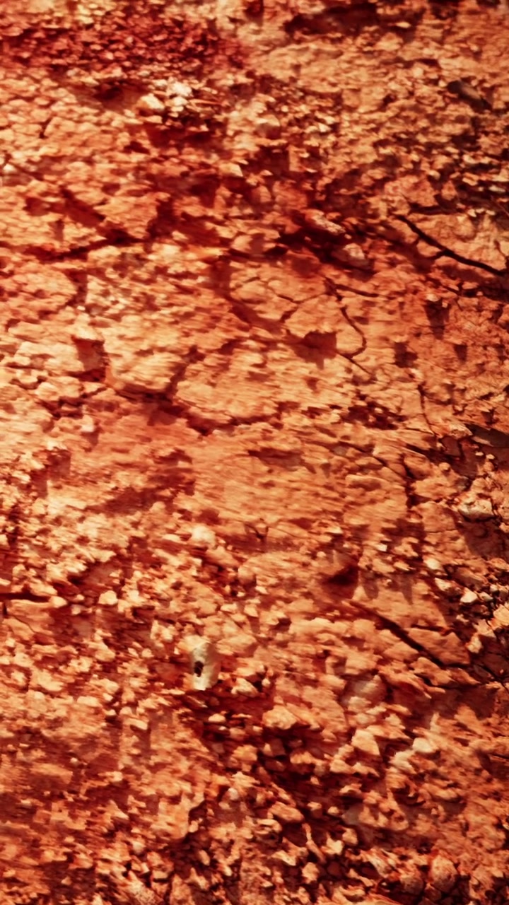 Textura de terra vermelha e marrom com folhas e rochas espalhadas em vista de perto