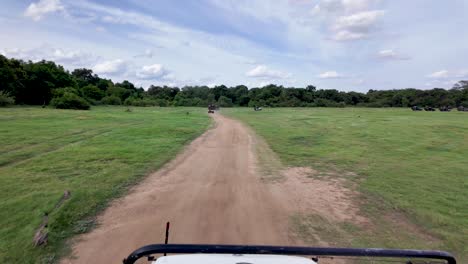 pov jeep safari through the expansive landscapes of kaudulla national park, sri lanka.