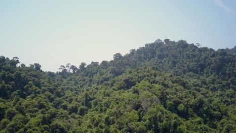 Aerial-view-of-lush-green-landscape-in-Thailand-on-bright-day---camera-tracking-and-panning-right