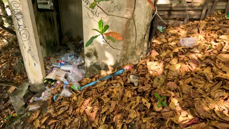 Plastic waste scattered among leaves transitions to a rocky beach with ocean views in Phuket, Thailand. Natural light highlights environmental impact