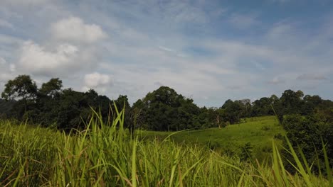 Landscape,-Bluesky,-Moving-Clouds,-People-Nature-Walking-at-a-Distance