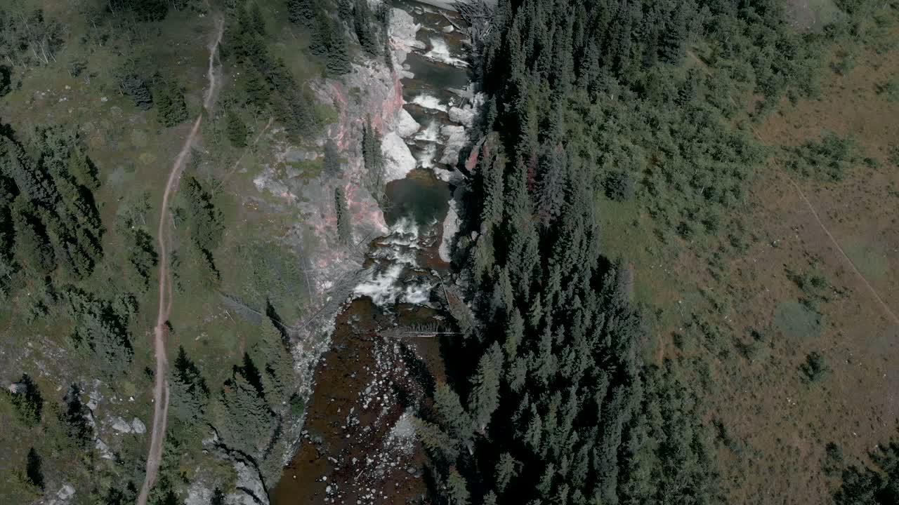 Mountain Stream Surrounded By Evergreen Coniferous Trees In Alberta Mountains In Canada On A Sunny Day. - aerial shot