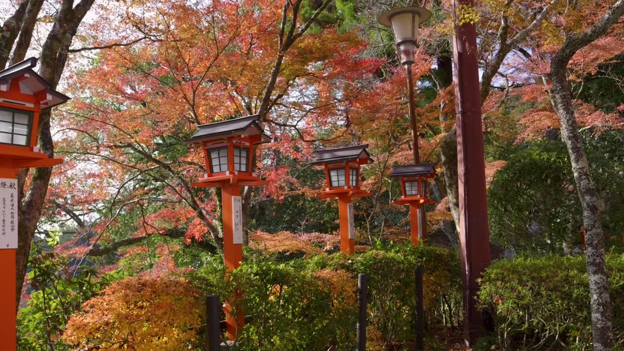 empujón cinematográfico hacia la linterna típica en el templo japonés