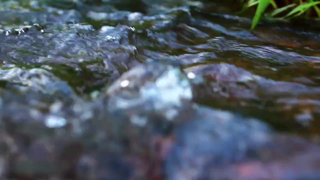 Acqua limpida e poco profonda scorre velocemente su pietre accanto a una sponda erbosa, mostrata in primo piano mentre le increspature catturano la luce.
