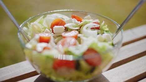 Bowl-of-fresh-mixed-green-salad