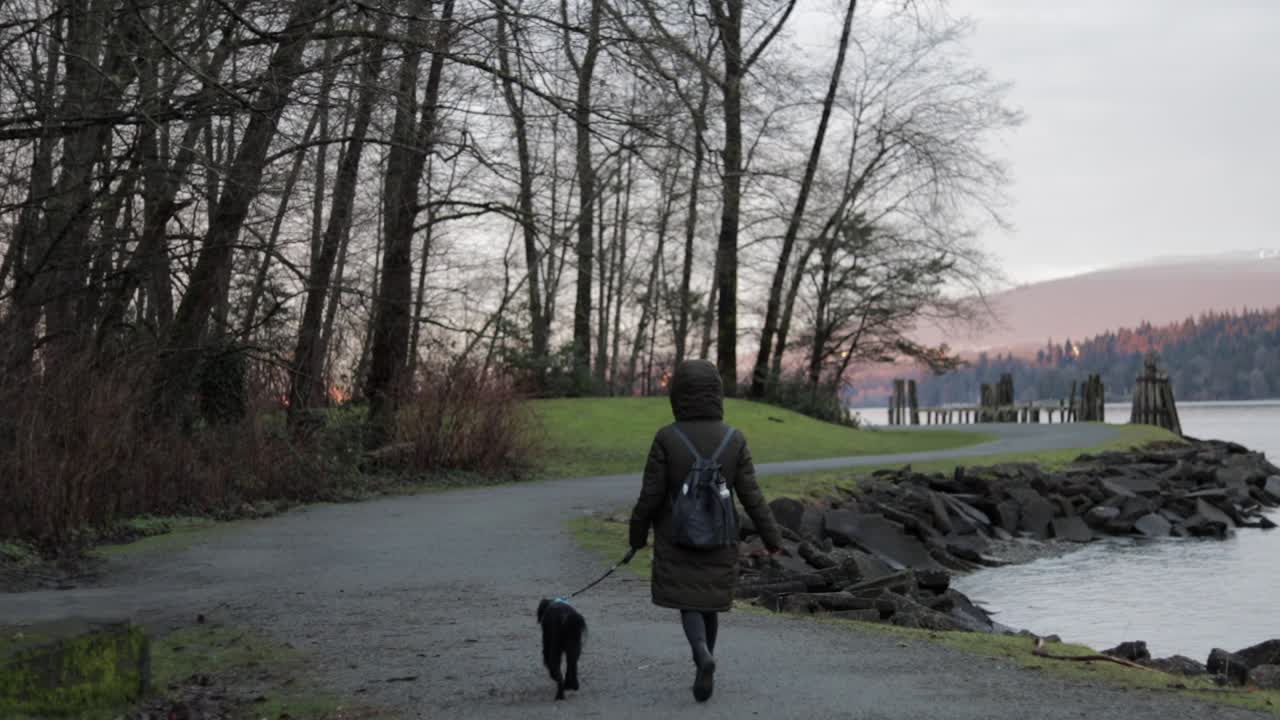 mujer joven paseando a su pequeño perro negro en un arnés azul junto al océano pacífico en un exuberante parque verde en una agradable tarde de invierno en vancouver, canadá