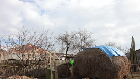 daytime scene in an animal farm with wooden fence and huge haystack for forage