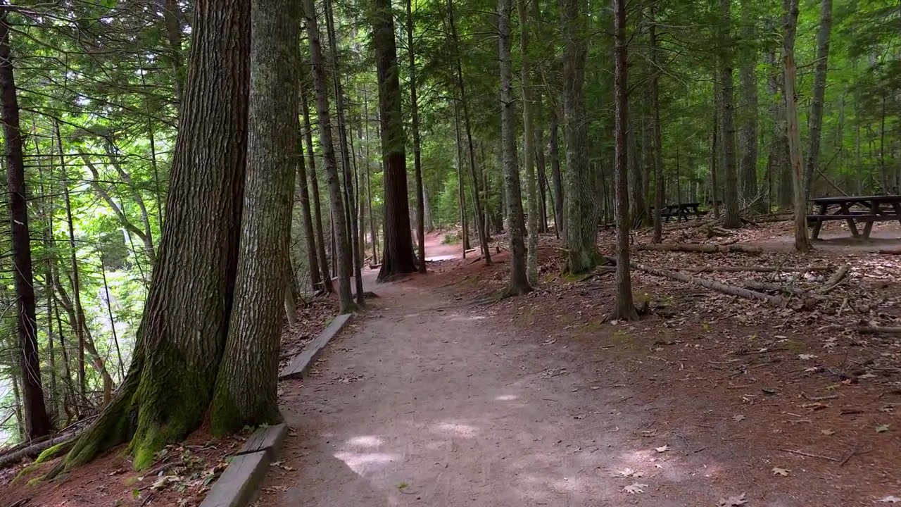 Sentiero escursionistico nel Parco Statale Wolf Neck, Maine.