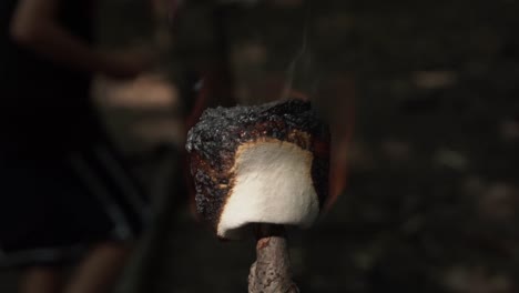 marshmallow asado en un palo