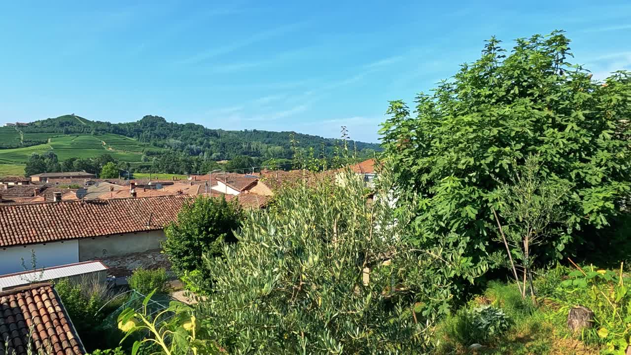 Vista panoramica di vigneti e tetti in Italia