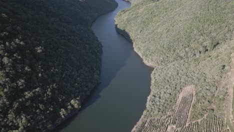 stunning footage of sil river crossing canyon with vineyards, spain