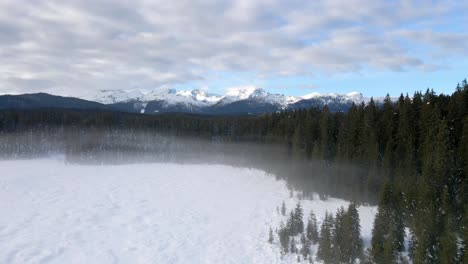 Aerial-rising-pedestal-winter-snow-pine-tree-forest-fog-misty-mountains-day