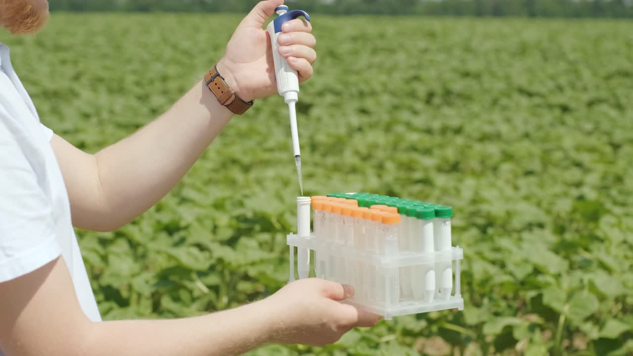 실험실 직원이 전문적인 유리를 들고 에서 수확하기 전에 식물 을 테스트합니다.