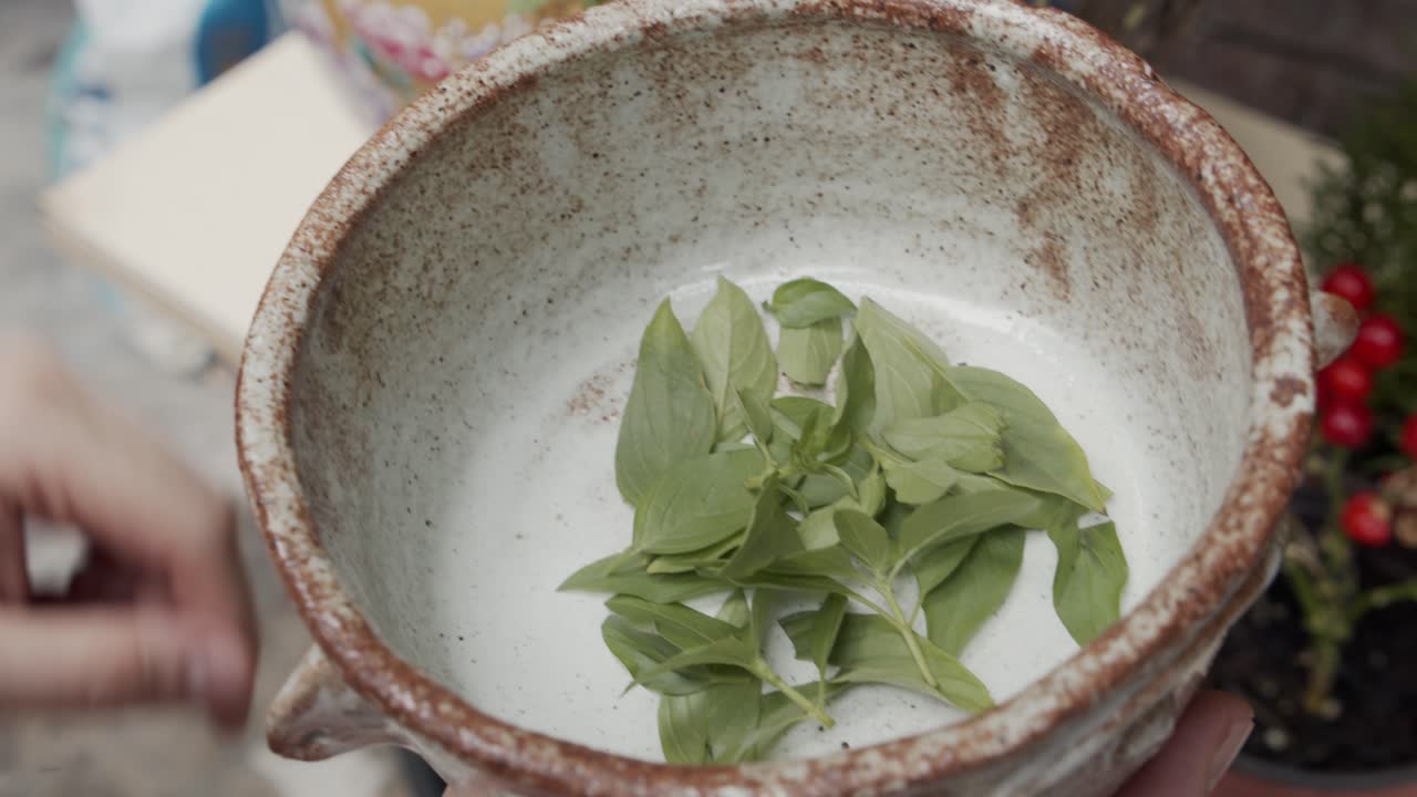 Putting basil leaves into a bowl for pizza topping