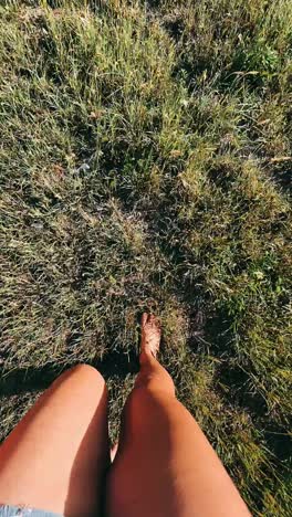 walking through a grassy field