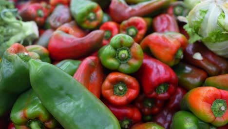 pimientos rojos y verdes de cerca