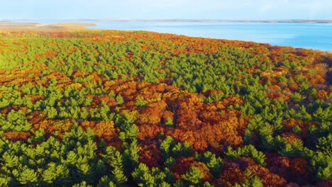 establishing wide shot of forest near lake in the fall, aerial drone