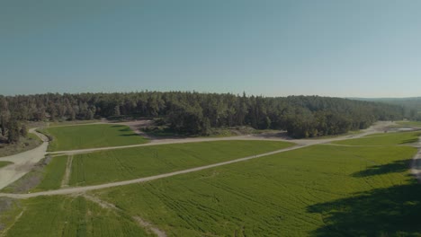 drone shot above secret green wheat fields in the middle of a large forest, two people walking through the fields on a sunny winter day - push in shot