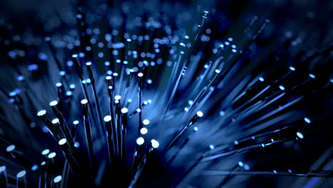 close up of fiber optic cables