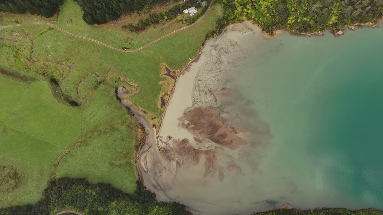 River mouth meeting ocean, sand and sediment during low tide, green forest near Picton, New Zealand. Aerial top-down view