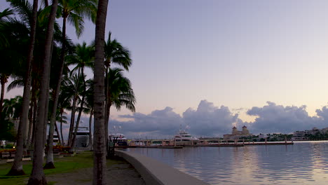 palm trees and docked boats in south florida inlet at dawn