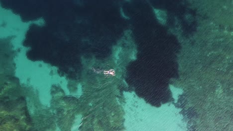 swimmer in crystal clear turquoise water exercising front crawl, aerial