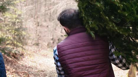 blurred view of men carrying the christmas tree