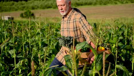 Nahaufnahme-Eines-Landwirts-In-Zeitlupe,-Der-Eine-Kiste-Mit-Bio-Gemüse-In-Der-Hand-Hält-Und-Ins-Sonnenlicht-Blickt.-Landwirtschaft,-Bauernhof,-Feld,-Ernte,-Garten,-Ernährung,-Bio-Frische,-Porträt-Im-Freien