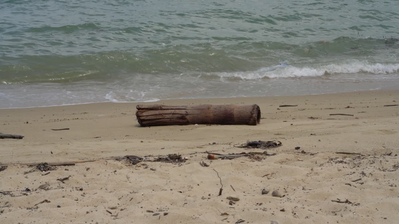 해변에 트렁크가 있는 하얀 모래 해변