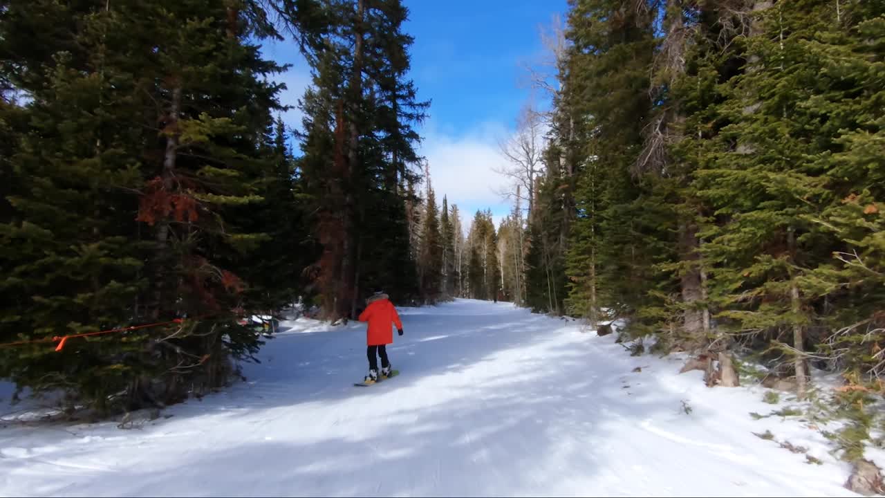una snowboarder femenina bajando por un hermoso camino nevado en una estación de esquí en colorado con grandes pinos a ambos lados
