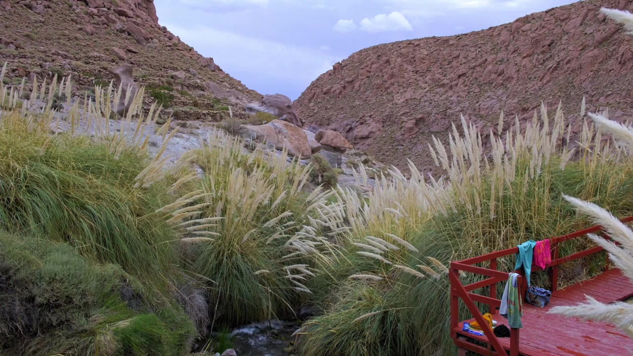 Toalhas de Banho Secando Perto de Capim-dos-Pampas Alto nas Termas de Puritama, Deserto do Atacama