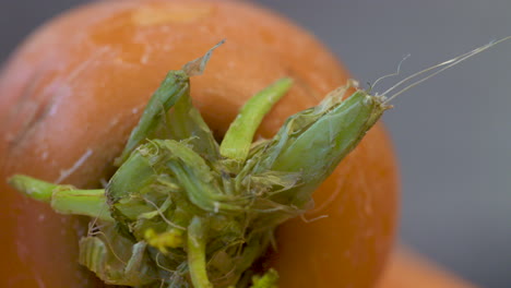 Close-up-on-the-top-of-a-whole,-raw-carrot