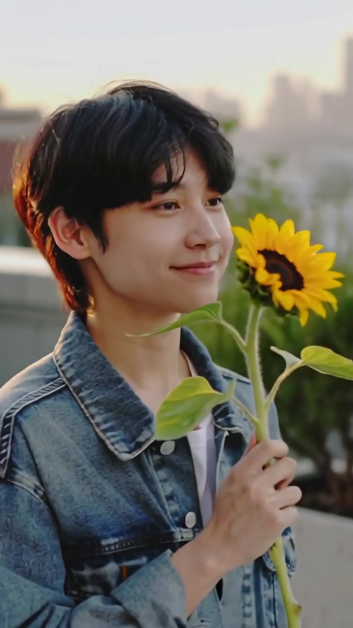 Video verticale: Uomo con girasole in giacca di jeans che sbircia lo skyline mentre il tramonto riscalda il tetto.
