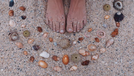 close up feet woman collecting seashells on beach enjoying beautiful natural variety making pattern shape on sand