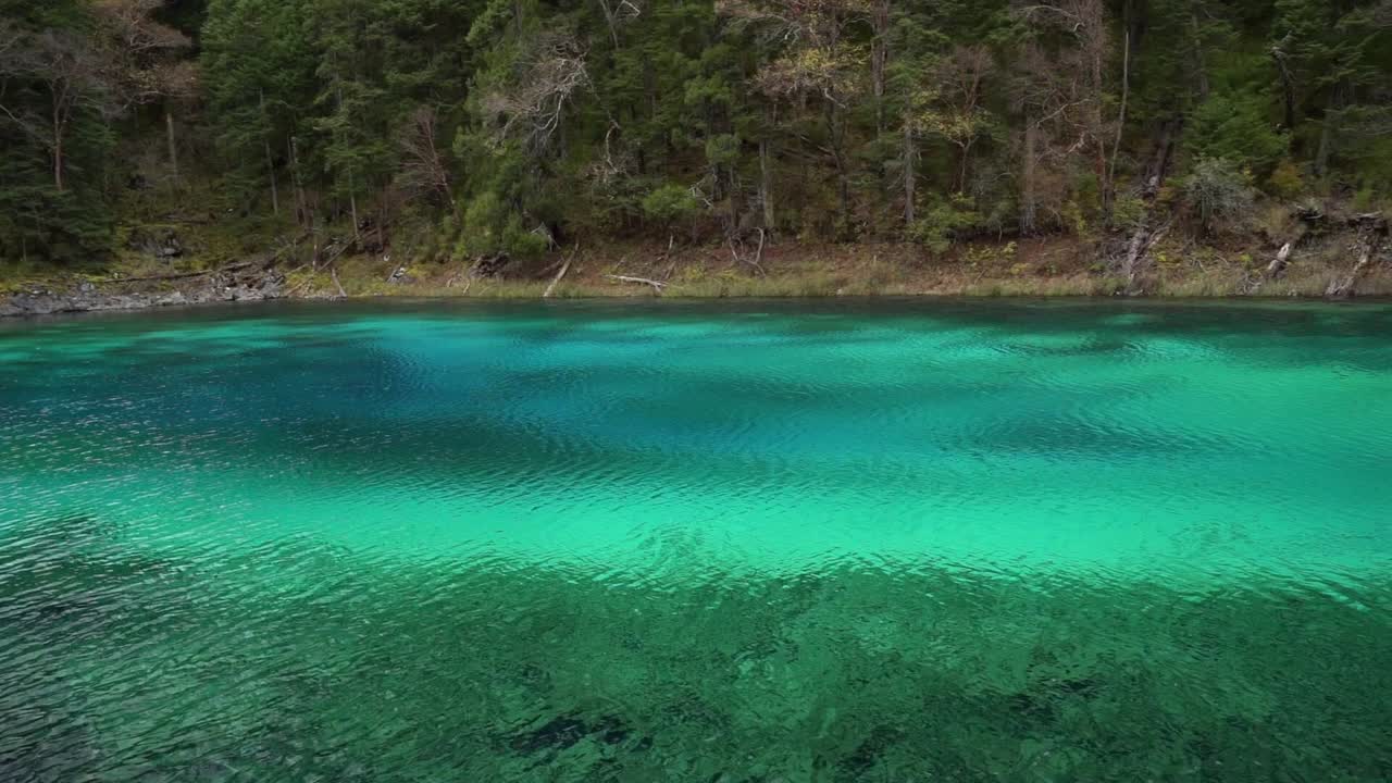 Vista dello Stagno dei Cinque Colori (Wucai Chi) nel Parco Nazionale di Jiuzhaigou, caratterizzato dalle sue famose acque ricche di minerali, multicolori, turchesi e azzurre che riflettono la circostante foresta alpina autunnale.