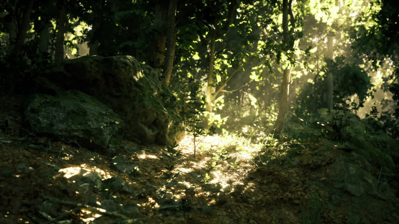 Scena di foresta incantata, prato magico con fogliame scintillante